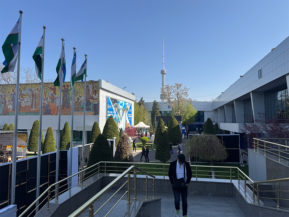 1744276905251243.jpg 4.jpg